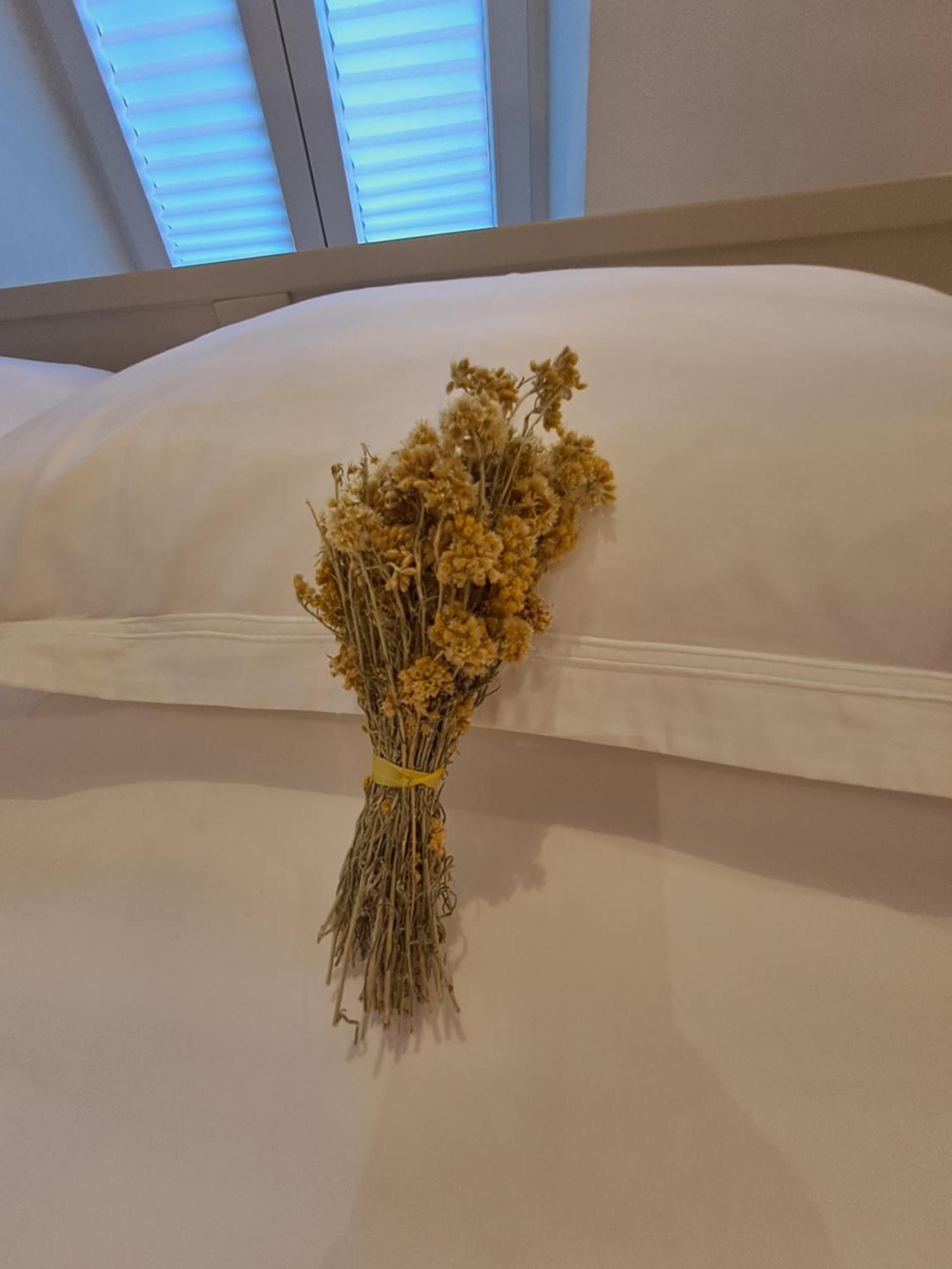 Rovinis Old Town Apartma